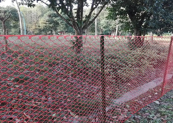 Je plastová sieťka na hydinu ideálnym riešením pre chovateľov hydiny?